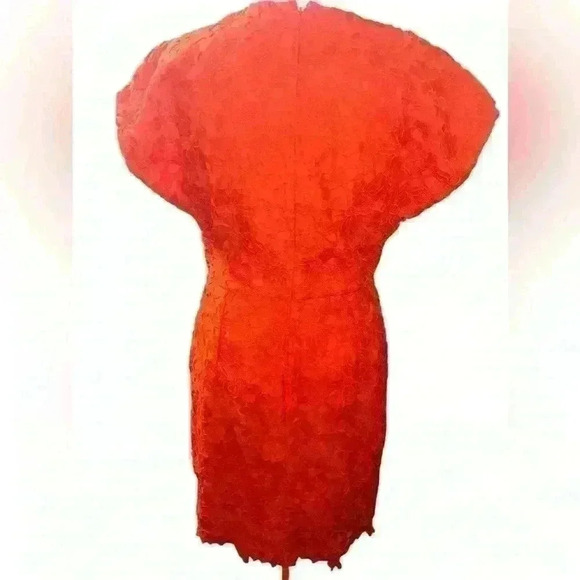 Banana Republic Size 8 Orange Lace Pleated Short Sleeve V-Neck Sheath Dress - Picture 4 of 10